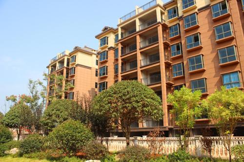 ���(y��ng)������(gu��)�H�A��